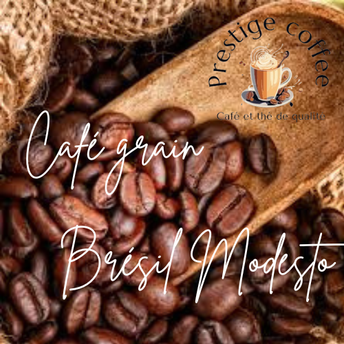 Café grain Brésil Modesto